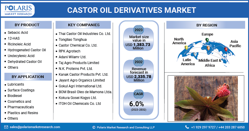 Castor Oil Derivatives Market Share, Size